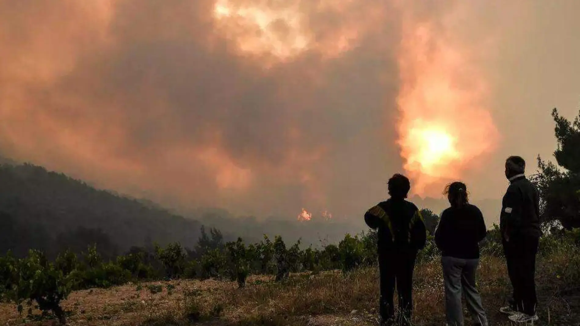 Incendio forestal grecia-AFP